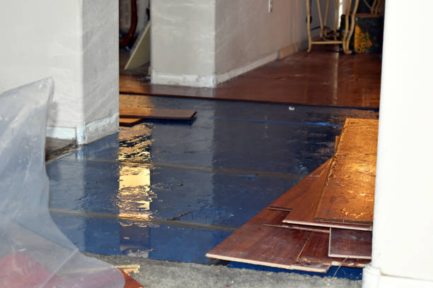 Professional Basement Flooding technician working in Fischer, TX